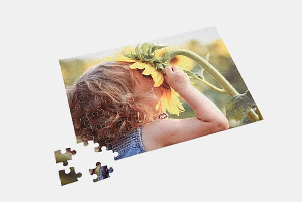 Standard Puzzle